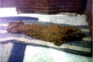 Jasad korban di rumah duka