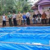 Salah satu pengusaha lele di Kabupaten Kuningan.