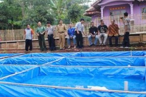 Salah satu pengusaha lele di Kabupaten Kuningan.