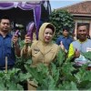 Bupati Kuningan menunjukan terung yang dipetiknya pada panen raya mini expo.