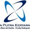 Logo PDAU