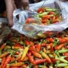 Harga cabe meroket