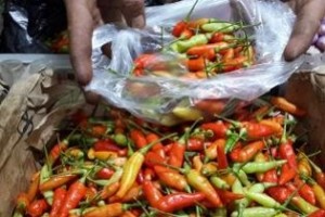 Harga cabe meroket