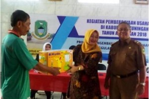 Kelompok UMKM Perempuan Terima Bantunan