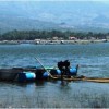 Petani jaring apung di waduk Darma.