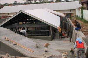 Rumah Potong Hewan